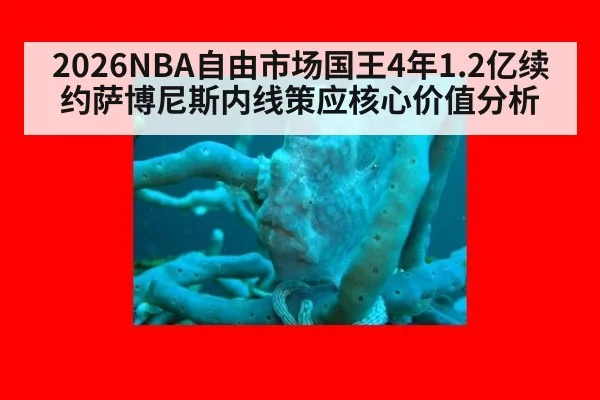 2026NBA自由市场国王4年1.2亿续约萨博尼斯内线策应核心价值分析（j9 game）