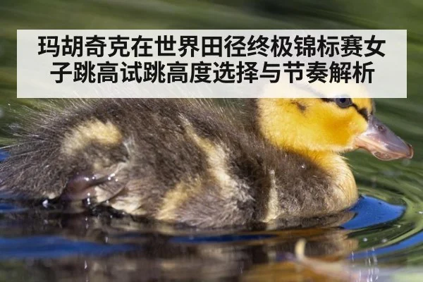 玛胡奇克在世界田径终极锦标赛女子跳高试跳高度选择与节奏解析